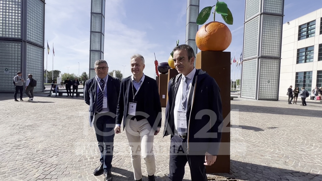 VIDEO | Cala il sipario su Macfrut 2023, Gallo: «Per la Calabria bilancio positivo. Ora l’ambizione della qualità»