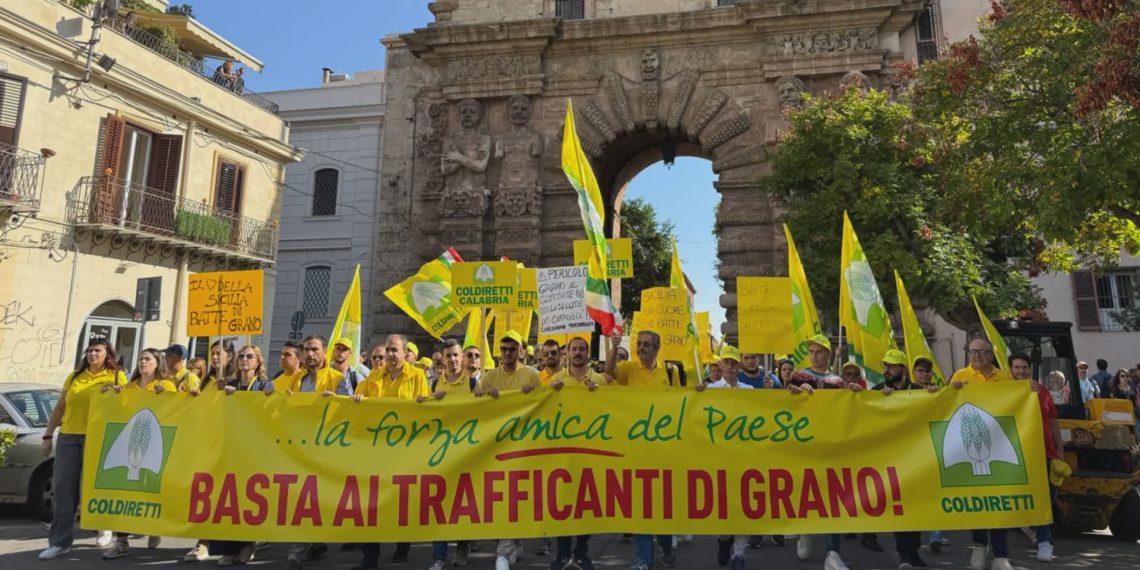 Coldiretti Calabria: difendere il grano italiano e rilanciare la filiera del Sud