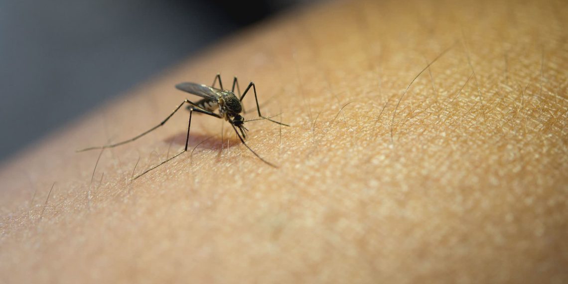 Caso di West Nile a Borgia: una donna ricoverata con febbre