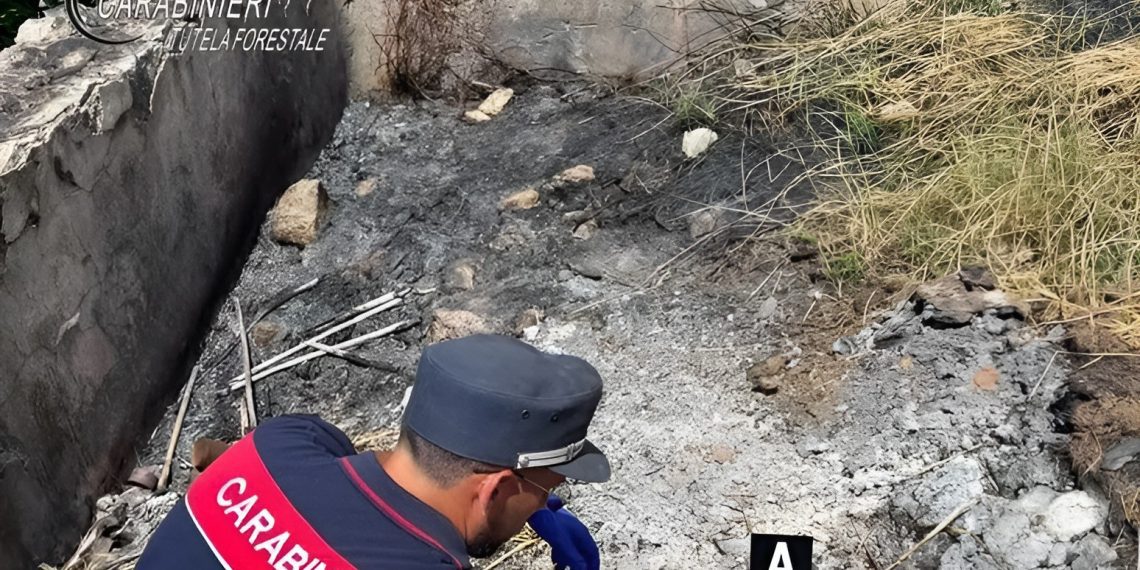 Bonifati, incendio devasta 10 ettari: Carabinieri denunciano un uomo