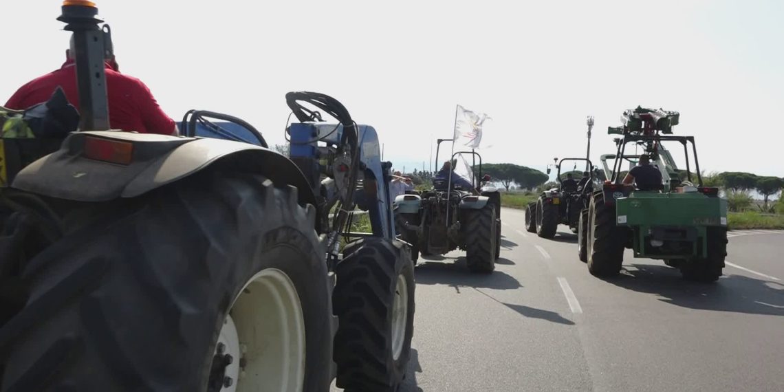 Prosegue la protesta degli agricoltori: nel Cosentino sversati litri di latte in strada