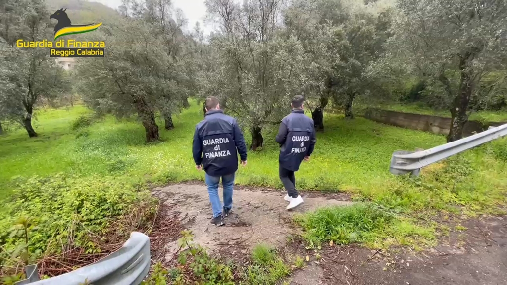 Fondi europei per giovani agricoltori calabresi, due su tre irregolari: revocati finanziamenti per 1 milione (VIDEO)