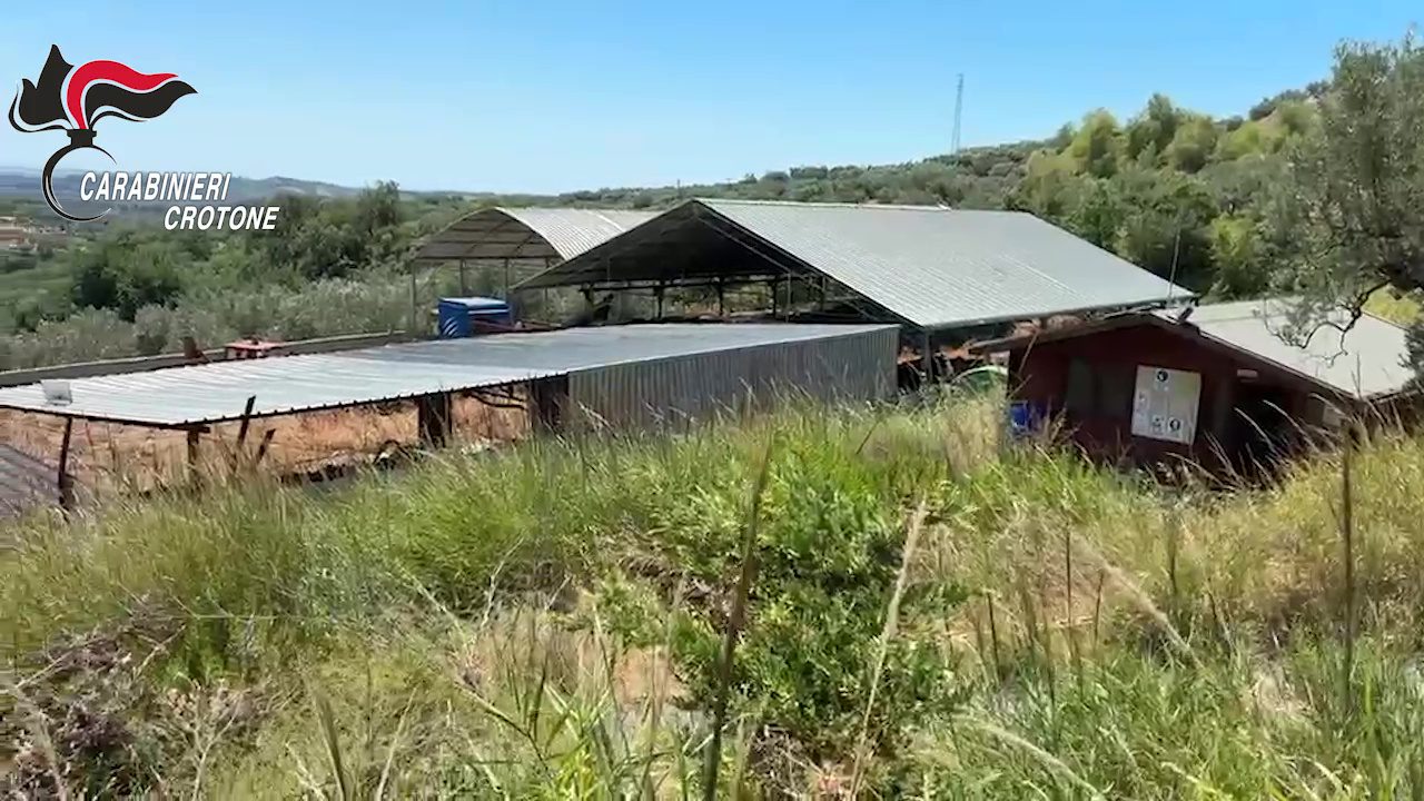 Chiuse le indagini sugli appalti dei rifiuti al Comune di Cotronei: cinque indagati