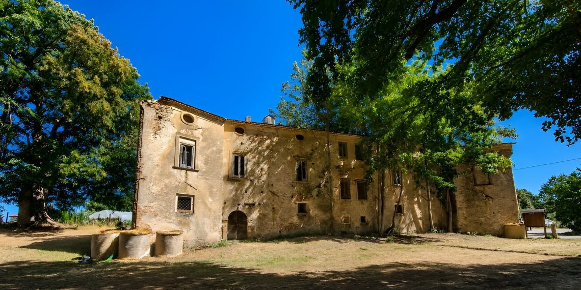 Patata della Sila, la sfida è il futuro: a Celico riflettori sulla filiera