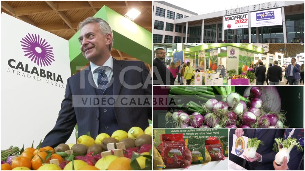VIDEO | Calabria protagonista al “Macfrut 2023”: la Regione partner istituzionale