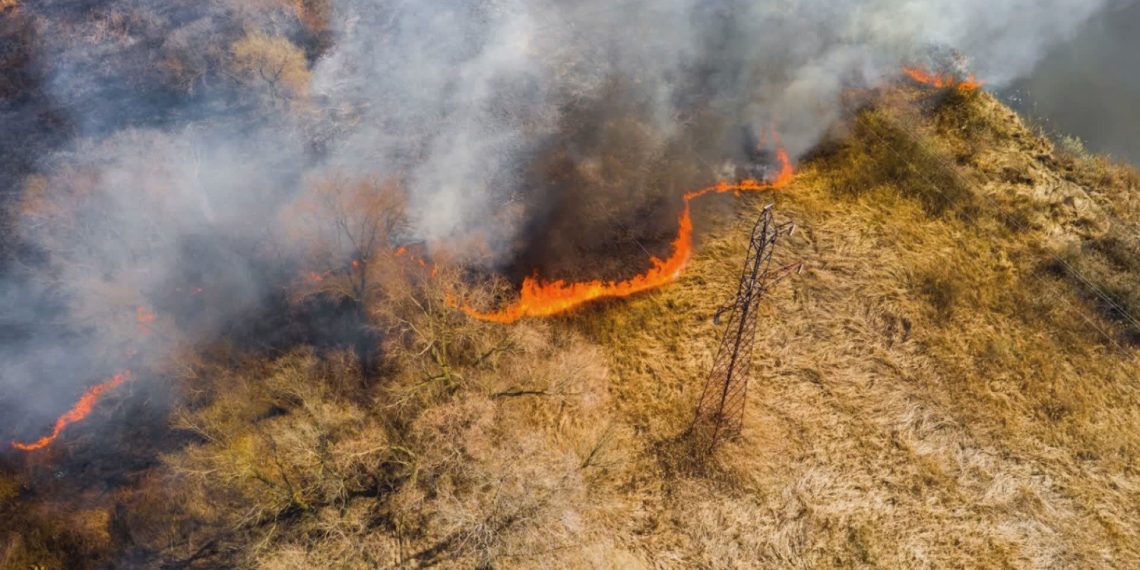 Emergenza incendi, Legambiente Calabria: “Servono prevenzione e controlli”