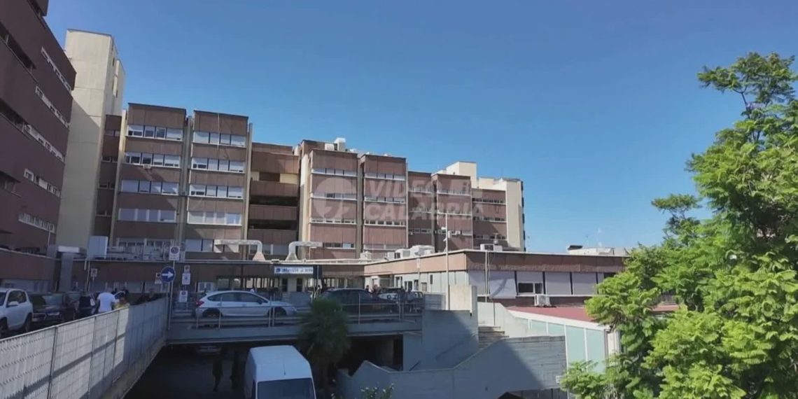 Un bosco nel reparto di Pediatria: a Reggio Calabria l’arte rende l’ospedale più accogliente