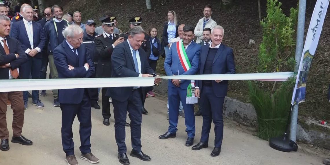 Azienda Calabria Verde e le sfide della forestazione
