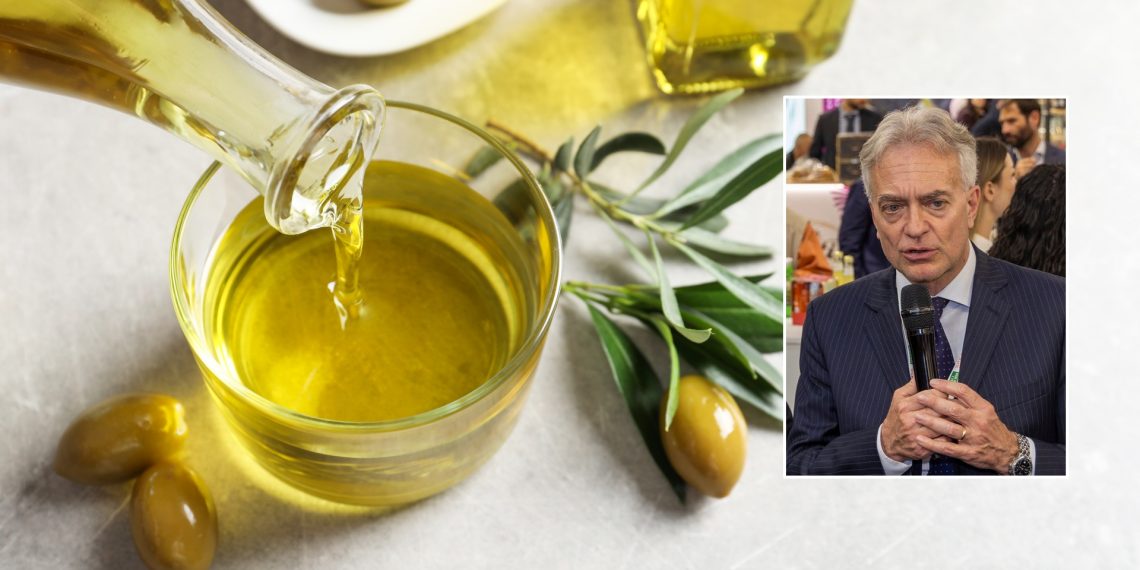 Olivicoltura calabrese in crisi: la Regione chiederà lo stato di crisi al Governo