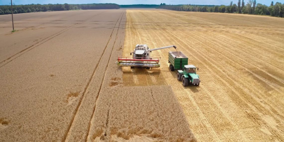 Arcea Calabria, oltre 10 milioni di euro a sostegno di agricoltura e vitivinicoltura