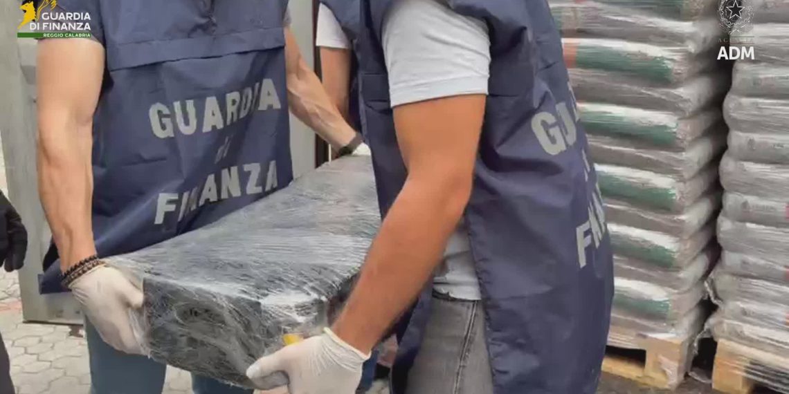 Porto di Gioia Tauro, sequestro di 113 chili di cocaina in container