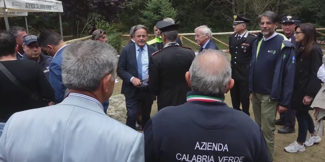 Rischio idrogeologico: l’operato di Calabria verde